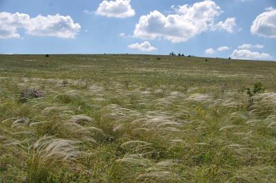 Прикрепленное изображение: IMGP6564.jpg